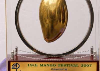 Mango Festival Award 2007