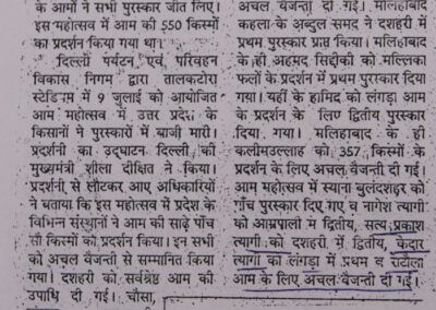 Newspaper Coverage for Award Winning Mango
