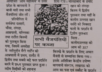 Newspaper Coverage for Award Winning Mango