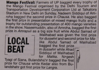 Newspaper Coverage for Award Winning Mango