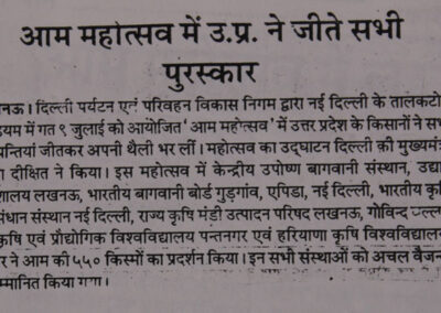 Newspaper Coverage for Award Winning Mango