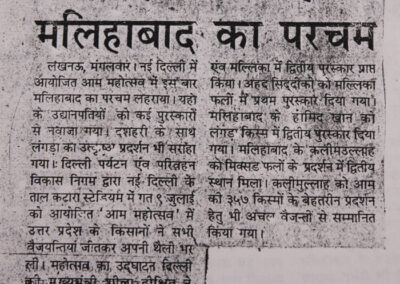 Newspaper Coverage for Award Winning Mango