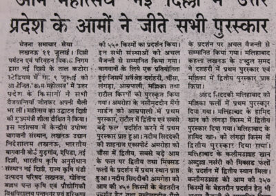 Newspaper Coverage for Award Winning Mango