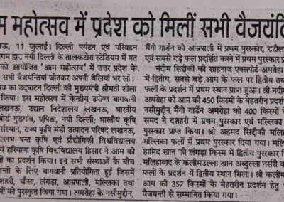 Newspaper Coverage for Award Winning Mango