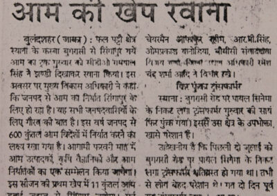 Newspaper Coverage for Award Winning Mango