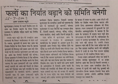 Newspaper Coverage for Award Winning Mango