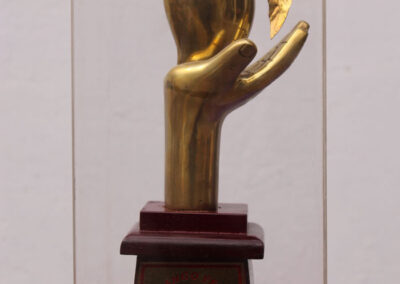 Mango Festival Award 2009